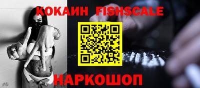 индика Гай