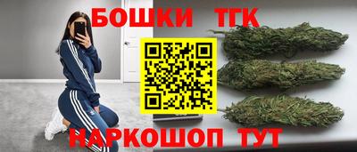 индика Гай