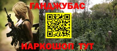 индика Гай