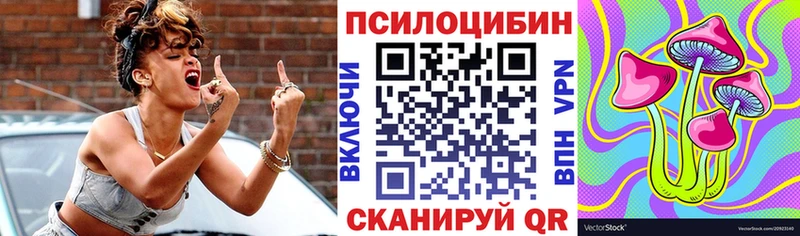 Галлюциногенные грибы GOLDEN TEACHER  купить наркоту  Кудрово 