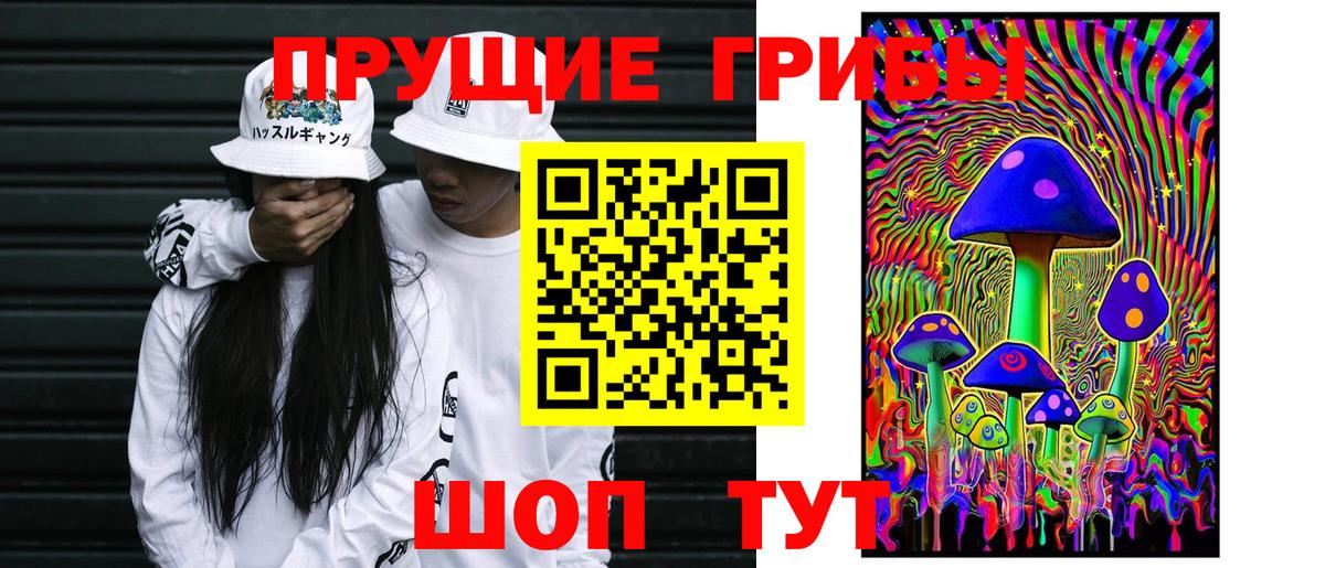 Галлюциногенные грибы Magic Shrooms  Псилоцибиновые грибы Cubensis  Вход с VPN  Кудрово 