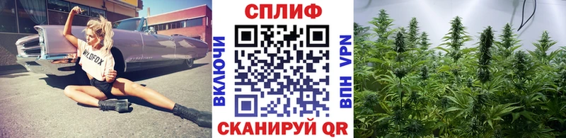 Каннабис план Кудрово